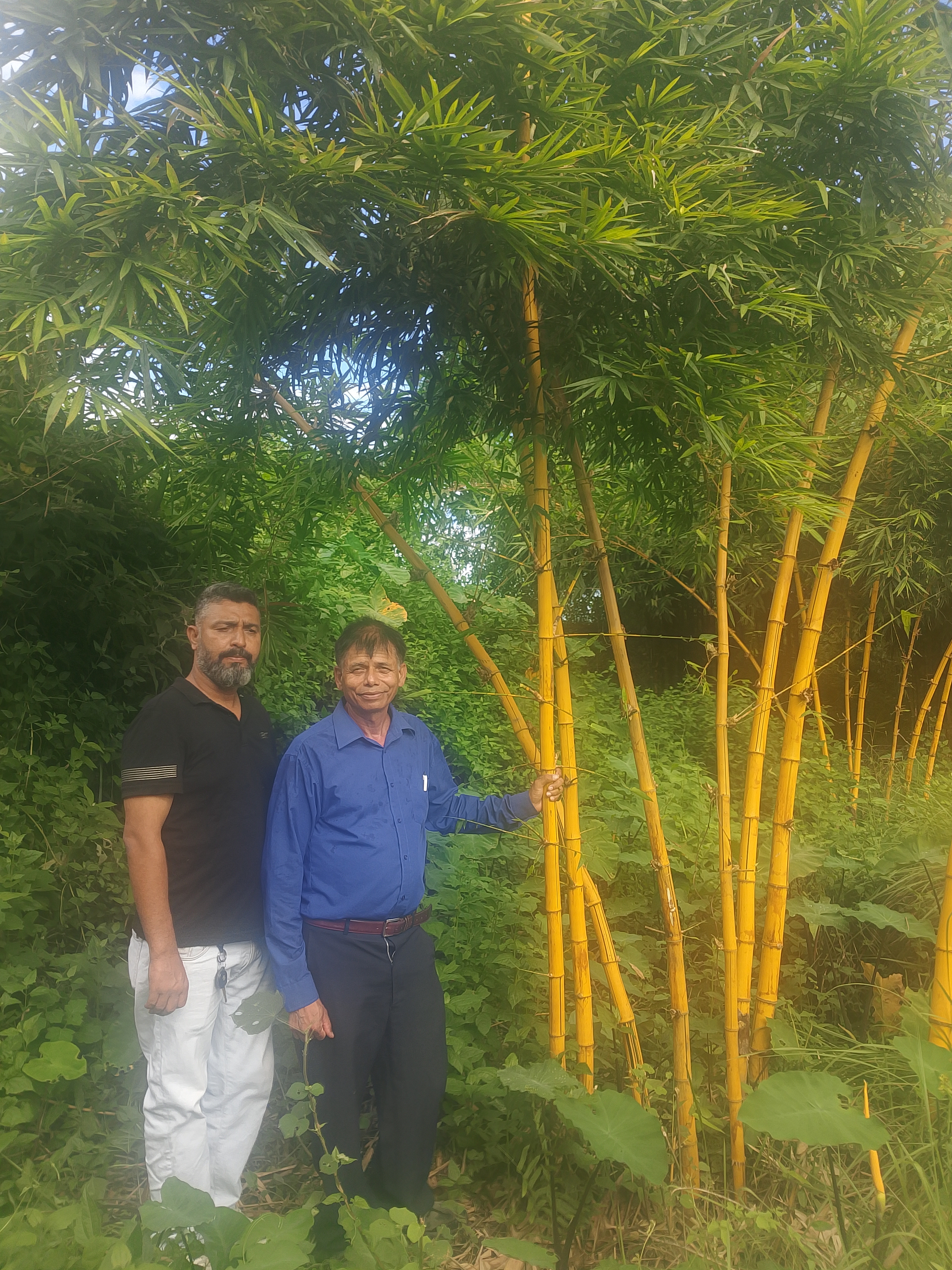 प्रकृतिसँग जोडिएको हरियाली भविष्य